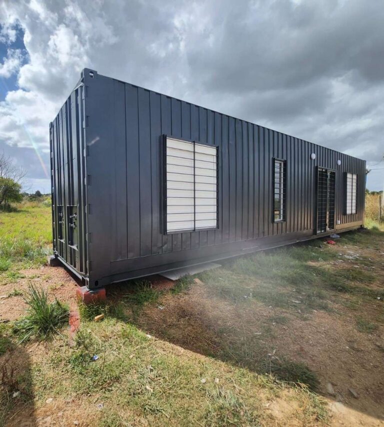 Exterior of a black container house